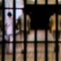 <p>येरवडा कारागृहात कैद्यांमध्ये हाणामारी</p>