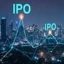 <p>IPO</p>