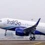 Indigo Flight : काटे-चमचे घेऊन हॉटेल मालकाचा विमान प्रवास, त्यानंतर जे घडलं..