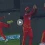 Hasan Ali Catch : The best catch by Hasan Ali who dropped the easy catch, you won't believe this catch!