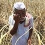 farmers issues in sillod sambhajinagar