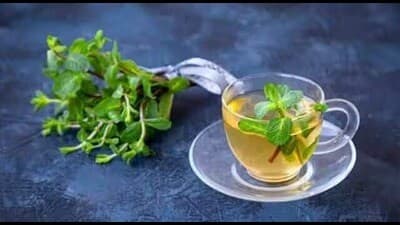 हर्बल टी: आले, लेमनग्रास आणि तुळस यांसारख्या औषधी वनस्पतींनी बनवलेला चहा हे नवरात्रीचे आणखी एक लोकप्रिय पेय आहे. या औषधी वनस्पतींमध्ये औषधी गुणधर्म आहेत आणि ते पचनास मदत करतात आणि रोगप्रतिकारक शक्ती वाढवतात.