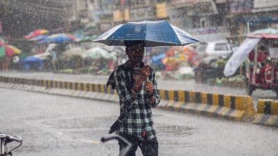 Maharashtra Rain and Weather Update : गेल्या काही दिवसांपासून राज्यातील पाऊस अचानक गायब झाला आहे. त्यामुळं राज्यातील शेतकरी संकटात सापडला आहे.