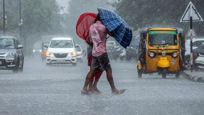 Maharashtra Rain Update  