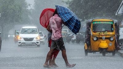 Maharashtra Rain Update : दोन ते तीन दिवसांपासून मुंबईतील हवामानात मोठा बदल होत असल्याचं दिसून येत आहे. वातावरणात गारवा निर्माण झाल्याने मुंबईकर सुखावले आहे.