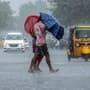 Maharashtra Rain Update  
