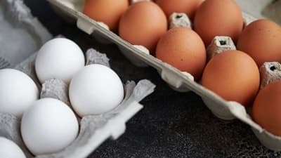 अंड्यांमध्ये सल्फर मुबलक प्रमाणात असते, ज्यामुळे रोगप्रतिकारक शक्ती वाढते. शरीरातील चयापचय प्रक्रिया नियंत्रित करण्यास मदत करते.&nbsp;